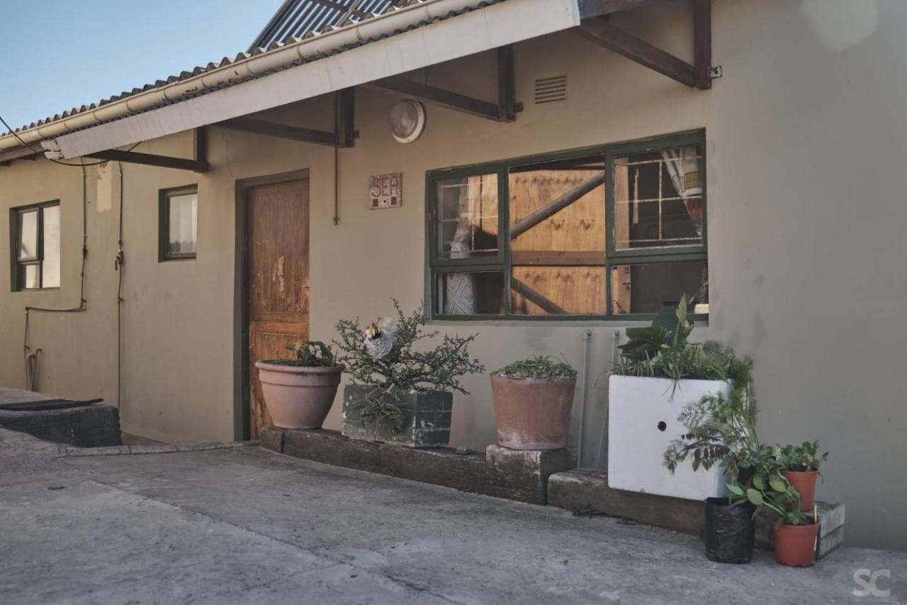 קופי ביי Bluecottage Or Seaview Cottage At Coram Deo Lodge Self Catering מראה חיצוני תמונה